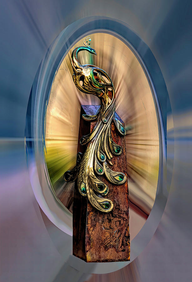 Peacock Statue with Abstract Background Photograph by Faith Burns