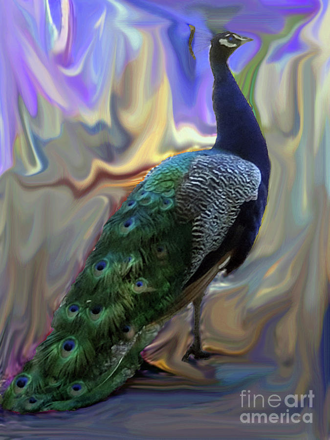 Peacock Swirl  Photograph by Carol Eliassen
