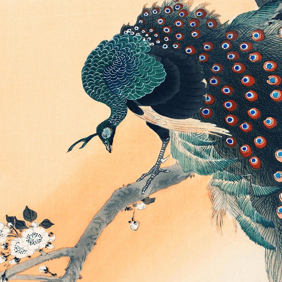 Peacock Traditional Japanese Wildlife Digital Art by Cozy Guru ...