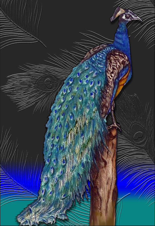 Peacocks Beauty Digital Art by Kelly Mills
