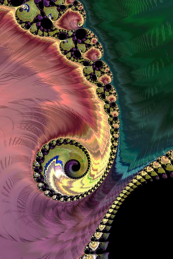 Peacocks Tail Digital Art by Vickie Fiveash