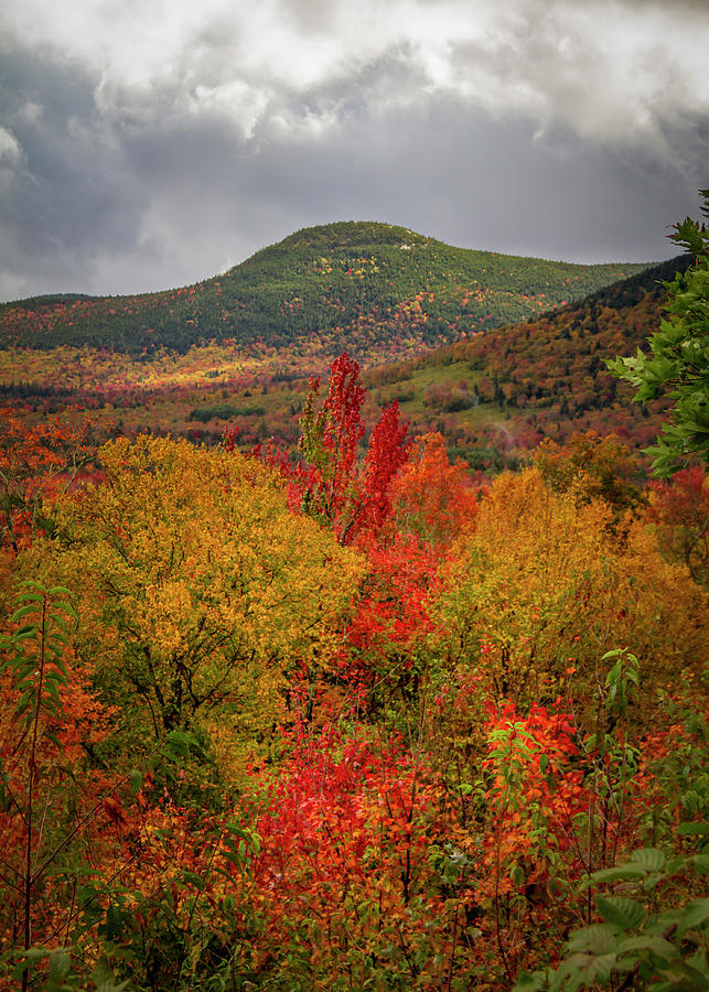 Peak Autumn Colors In Vermont Photograph by Dan Sproul