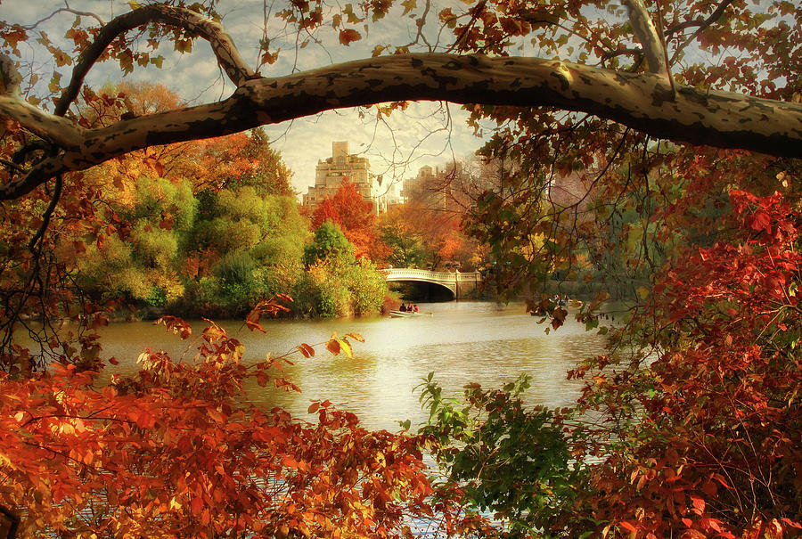 Peak Autumn in Central Park Photograph by Jessica Jenney
