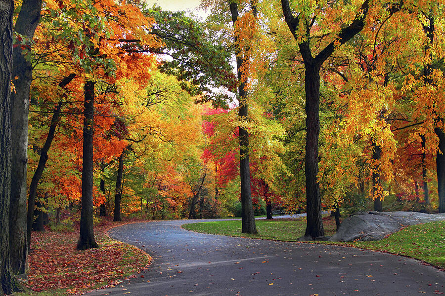 Peak Autumn Path Photograph by Jessica Jenney
