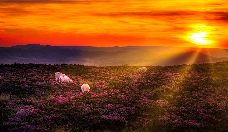 Peak district sunset Photograph by Chris Smith