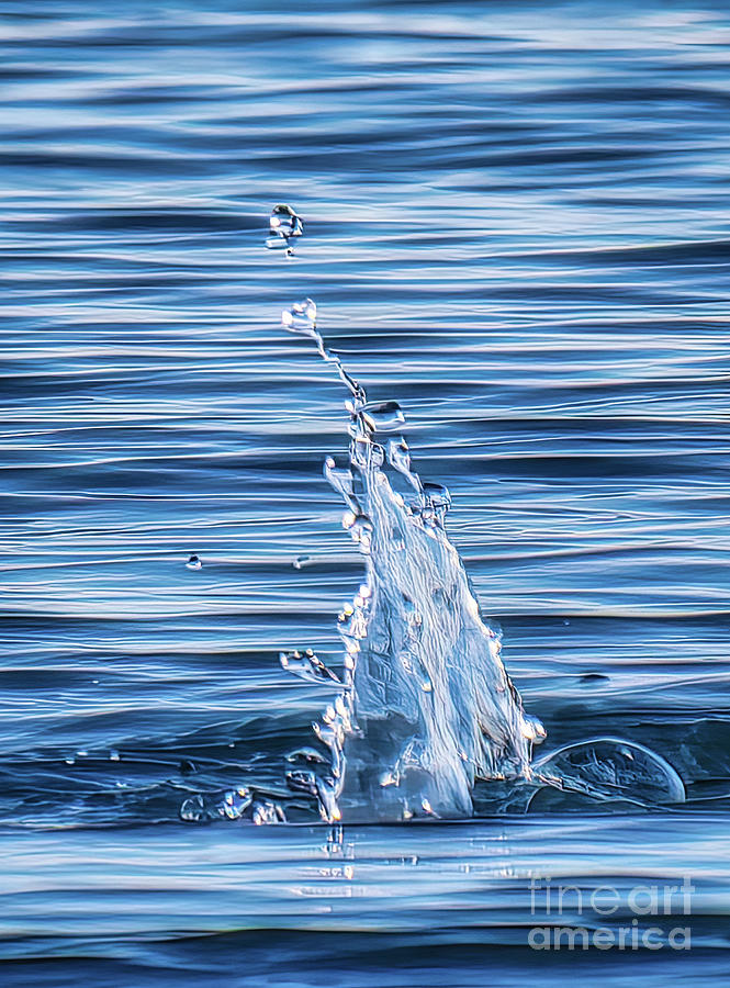 Splash Impression Photograph by Charline Xia