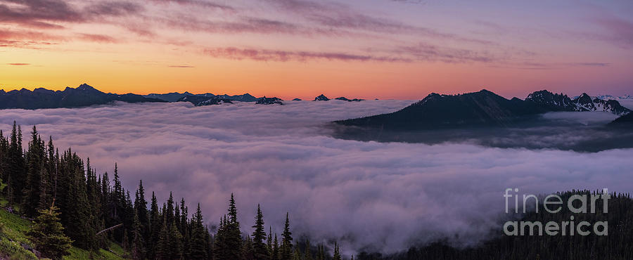 Mount Rainier National Park Photograph - Peaks Above the Clouds from Sunrise by Mike Reid