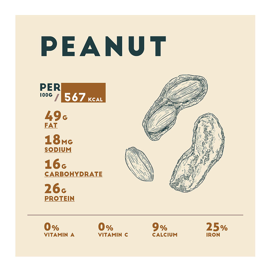 peanut-nutrition-facts-drawing-by-beautify-my-walls