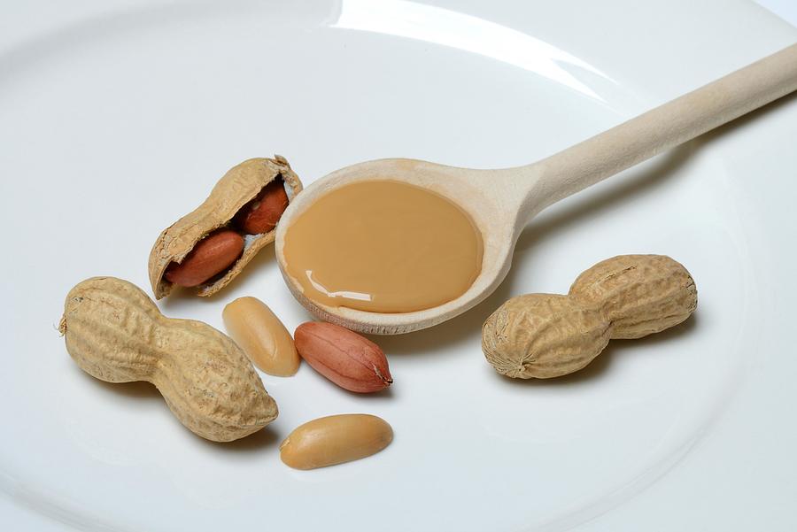 Peanut puree in cooking spoon and peanuts, Germany Photograph by imageBROKER/Juergen Pfeiffer