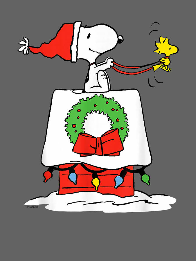 Peanuts Holiday Snoopy's Doghouse Sleigh Digital Art by Nvt90 - Pixels