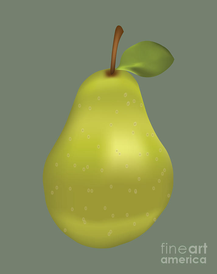 Pear, Fruit, Illustration, Digital Art by David Millenheft