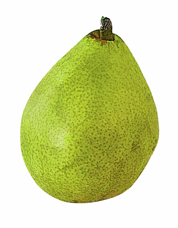 Pear On White Background Photograph by Gary Slawsky