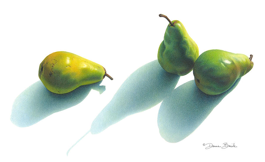 Pear Shadows Drawing by Donna Basile