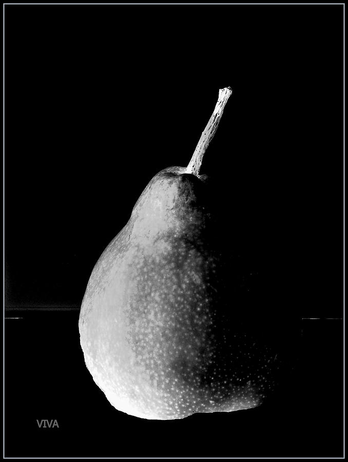 PEAR Silhouette Photograph by VIVA Anderson