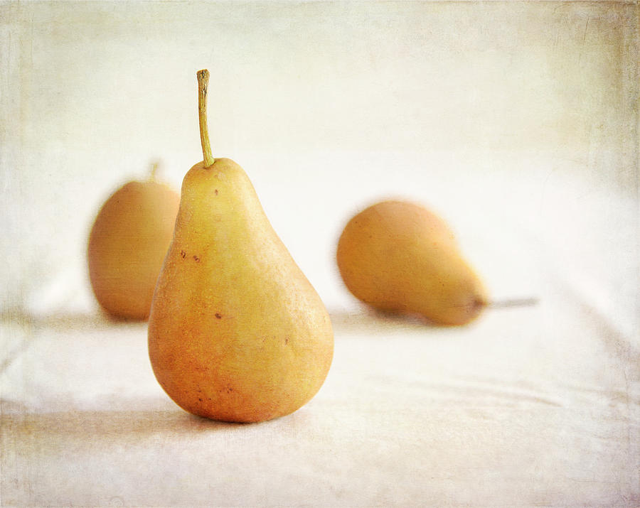 Pear Still Life Photograph by Matthew Keiber | Fine Art America