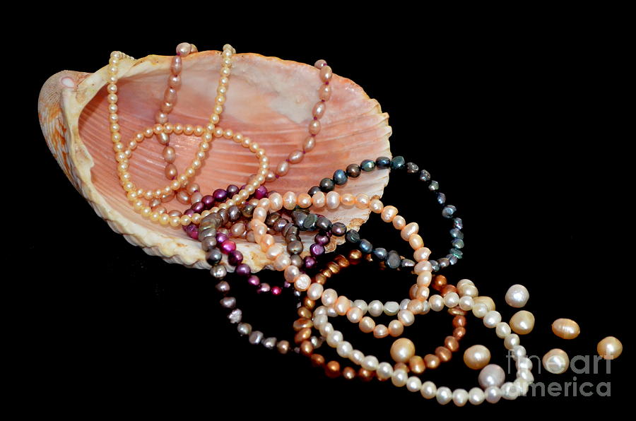 Pearl Bracelets And Sea Shell Photograph