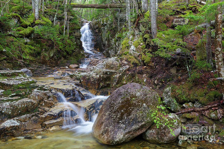 Pearl Cascade - White Mountains, New Hampshire Photograph by Erin Paul Donovan