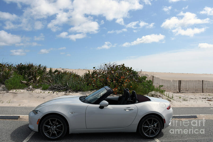 Beach Photograph - Pearl Goes Topless by Brenda Harle