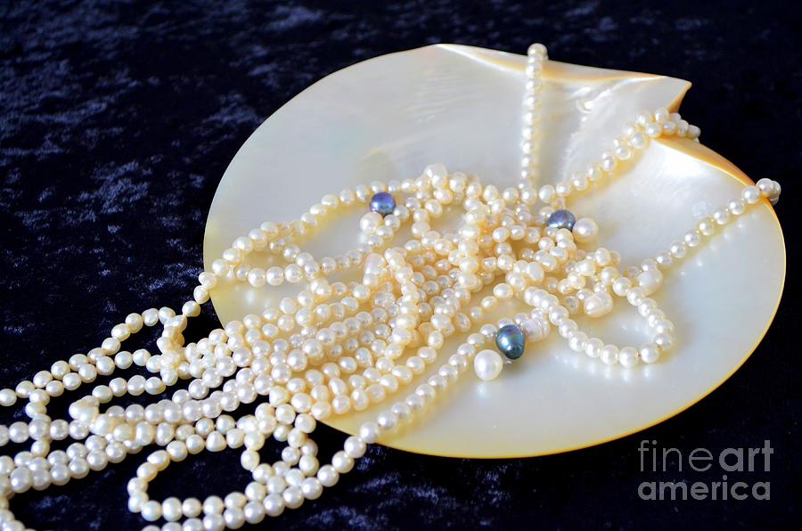 Pearl Necklaces and Sea Shell Photograph by Mary Deal