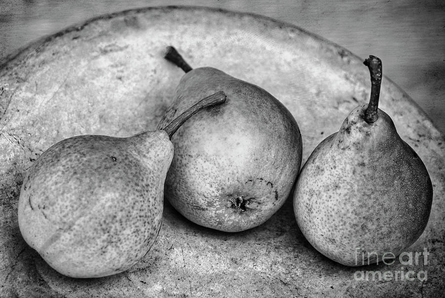 Pears Photograph by Alana Ranney