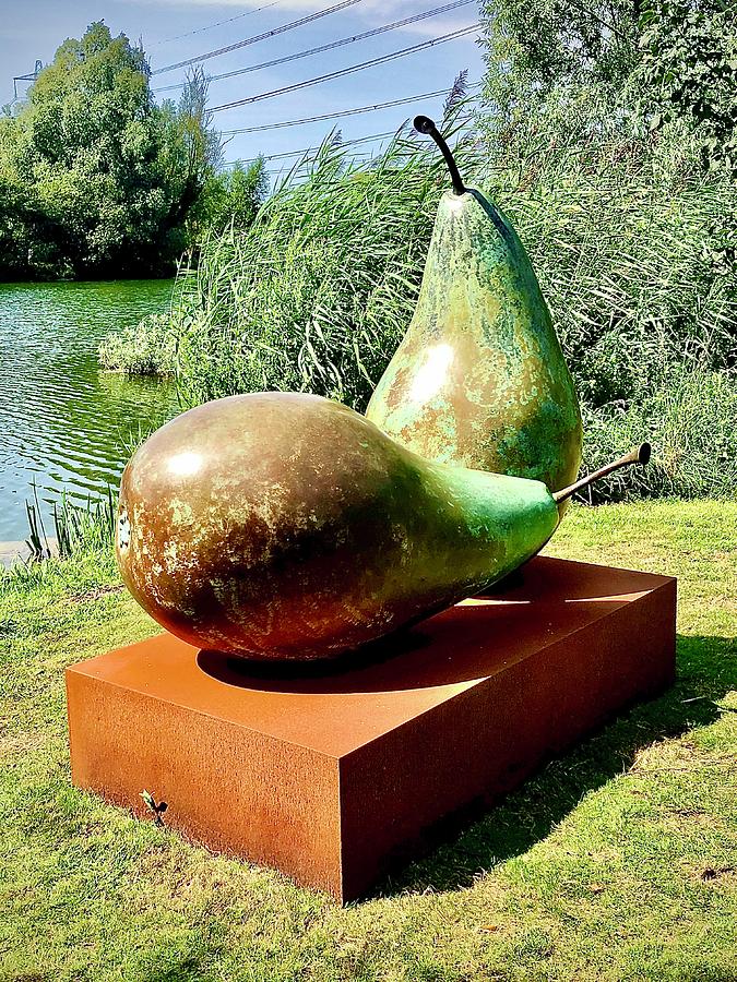 Pears Photograph by Gordon James
