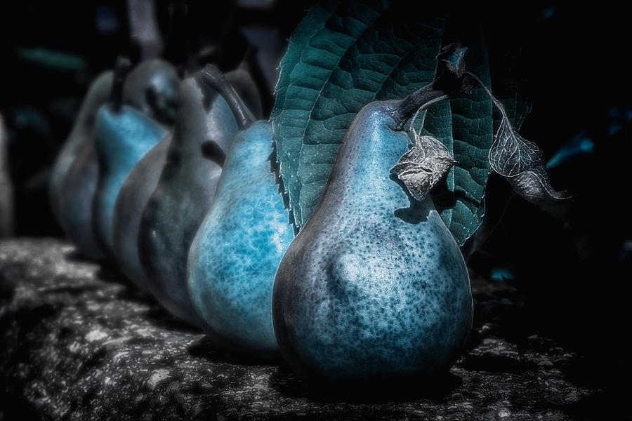 Pears in blue Photograph by Wolfgang Stocker