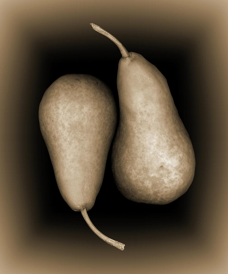 Pears in Repose Photograph by Jeffrey PERKINS