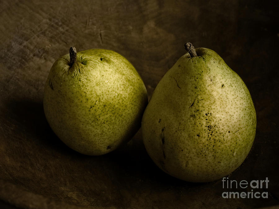 Pears Vintage Duo Photo Photograph by Ella Kaye Dickey