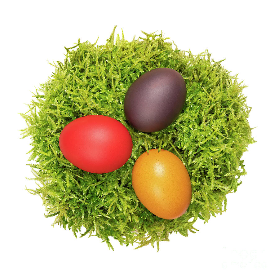 Green paper Easter grass background by Peter Hermes Furian