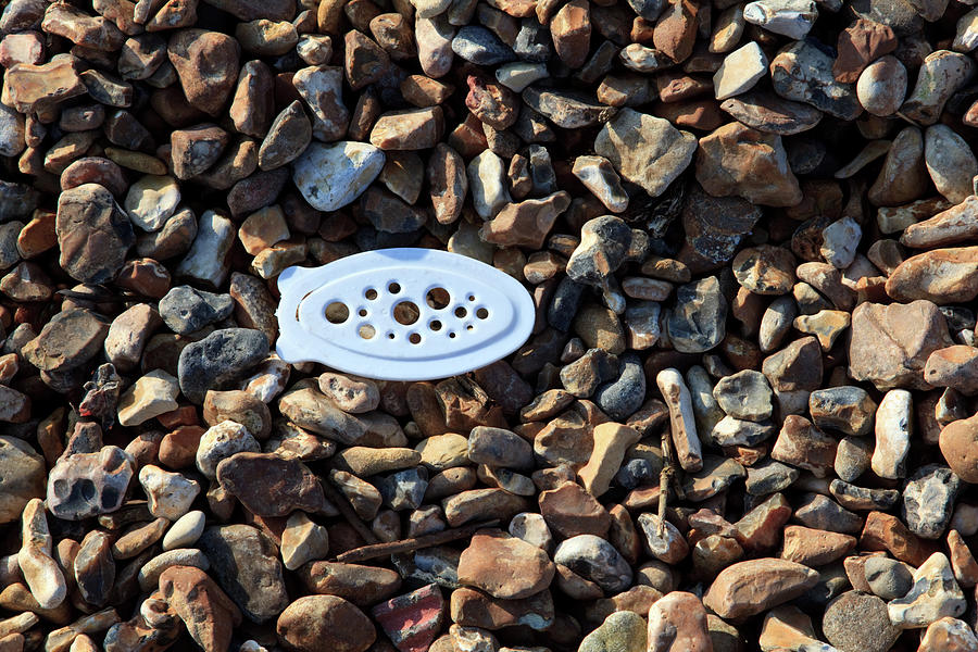 Pebble and Plastiic Photograph by Richard Donovan