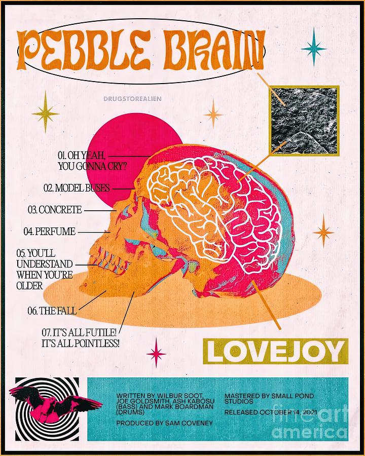 Pebble Brain Lovejoy Painting by Lee Jasmine - Pixels