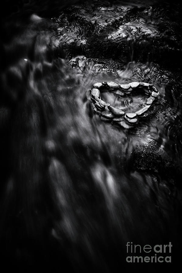 Pebble Heart Monochrome Photograph by Tim Gainey
