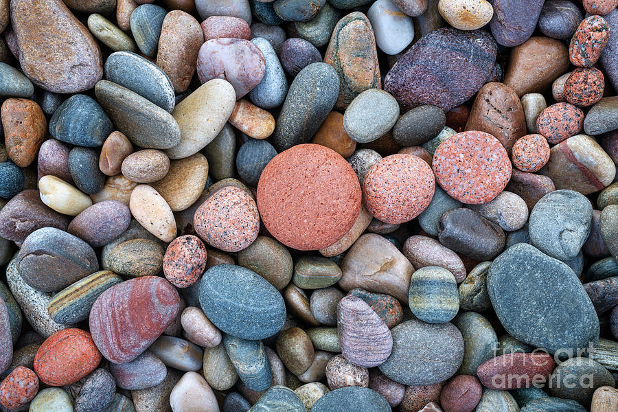 Pebble Pink Photograph by Tim Gainey
