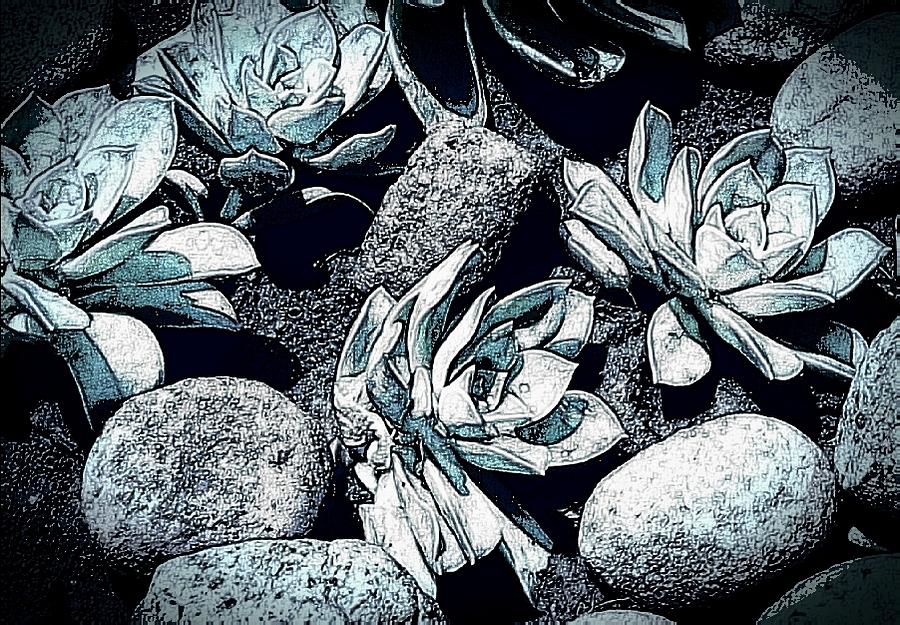 Pebbles and Succulents Digital Art by Loraine Yaffe