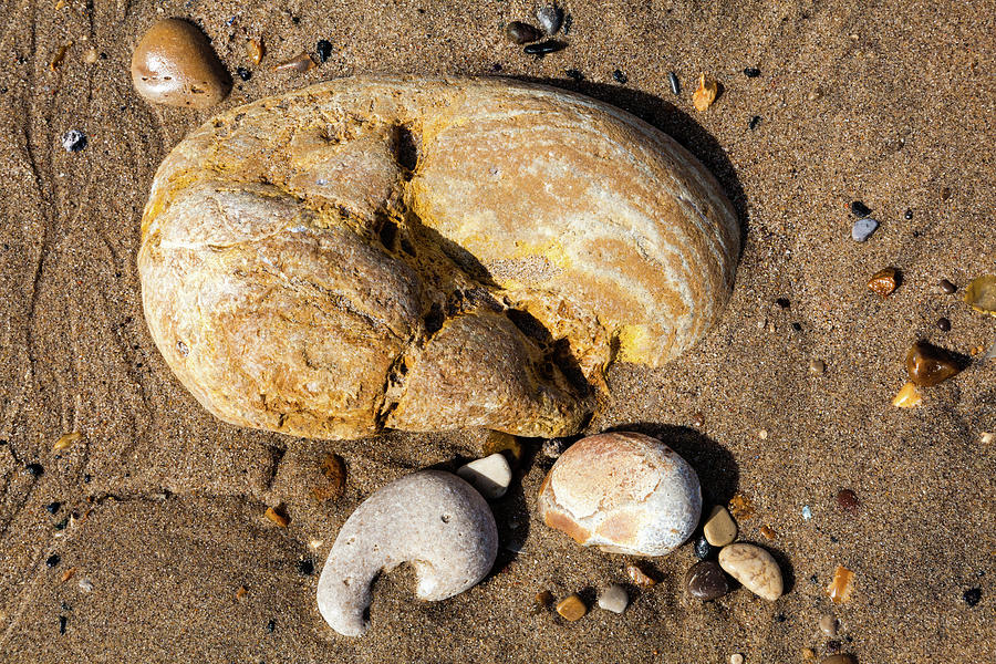 Pebbles at Low Tide Photograph by Richard Donovan
