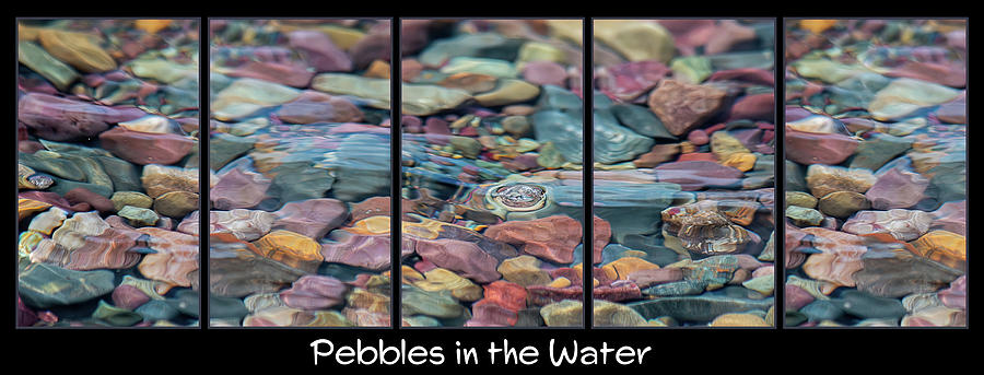 Pebbles in the Water Poster Format Photograph by Teresa Wilson