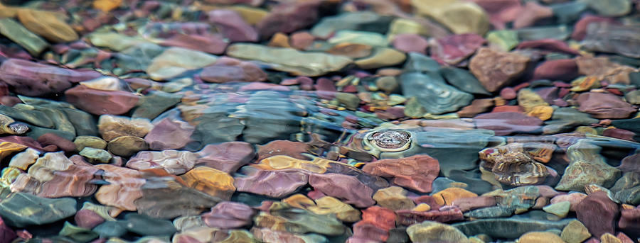 Pebbles in the Water Photograph by Teresa Wilson