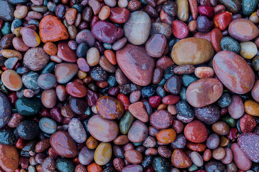 Pebbles Photograph - Pebbles On A Beach by James Dewar