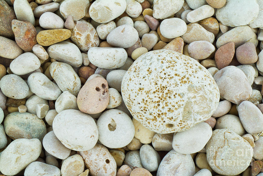 Pebbles on the beach Photograph by Neale And Judith Clark