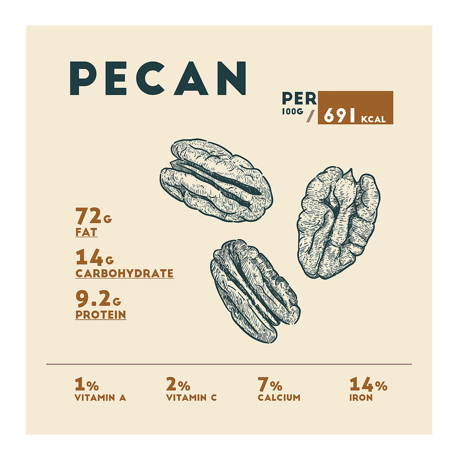 Pecan Nutrition Facts Drawing by Beautify My Walls