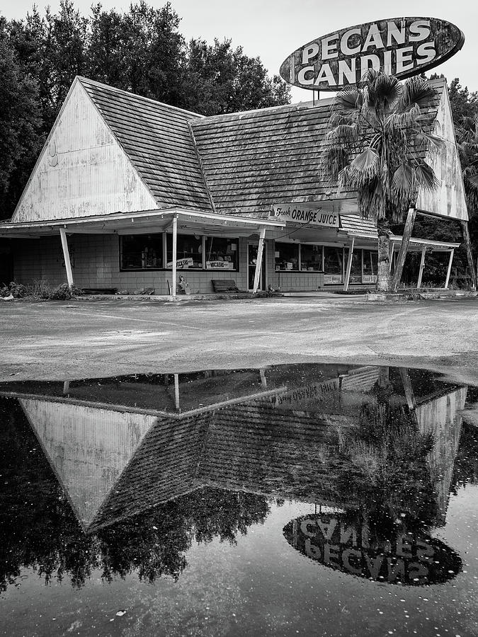 Pecans Candies in Black and White, Highway 301, Florida Photograph by Dawna Moore Photography
