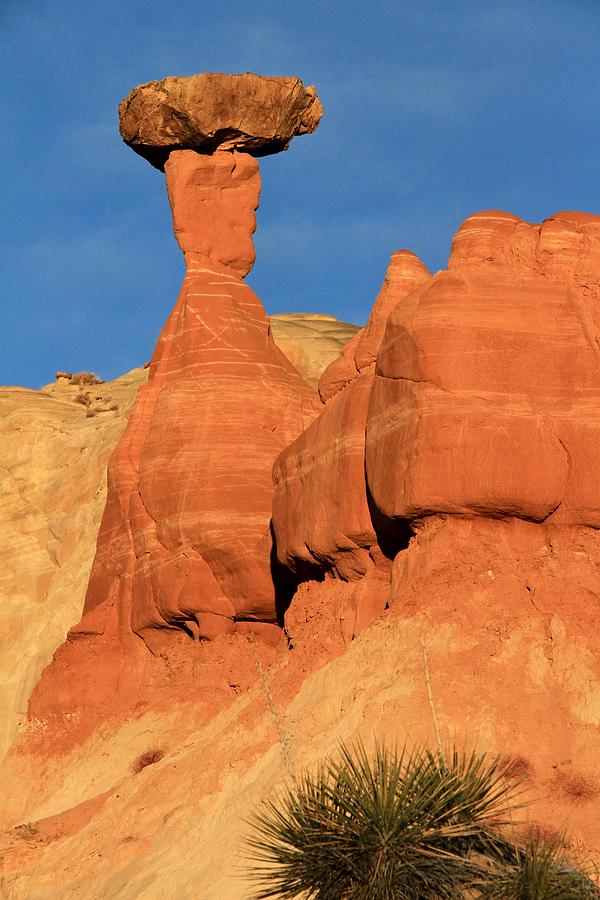 Pedestal Rock Photograph by Ed Riche Fine Art America