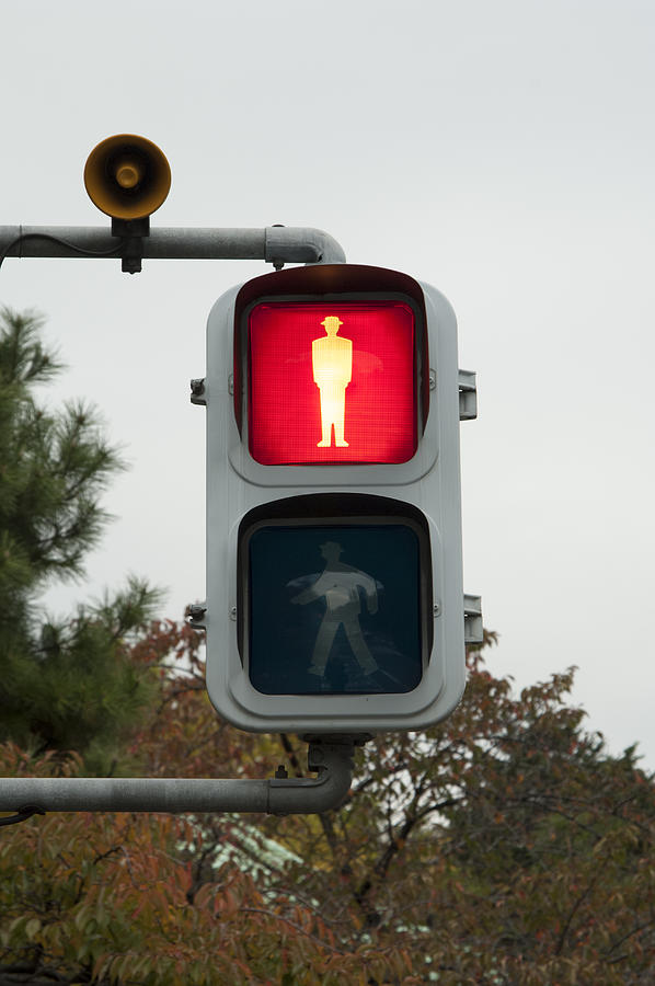 Pedestrian light on red Photograph by Andre Thijssen