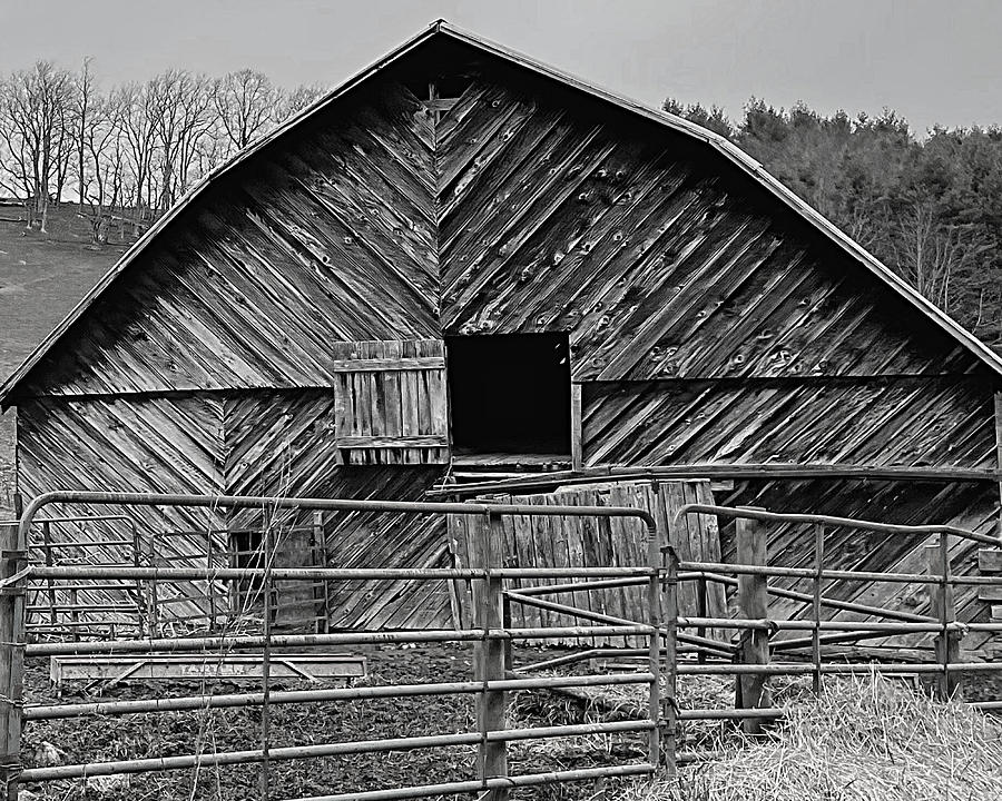 Peek a Barn BW Photograph by Lee Darnell
