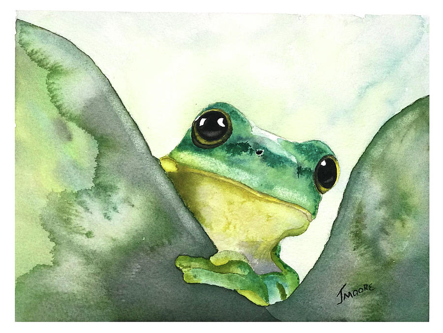 Peek-A-Boo Tree Frog by Jeffrey A Moore