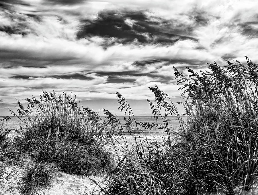 Peek Thru The Dunes Photograph by Francis Sullivan