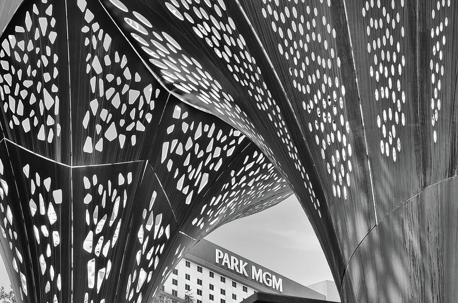 Peekaboo View of Park MGM Las Vegas Black and White Photograph by Shawn OBrien