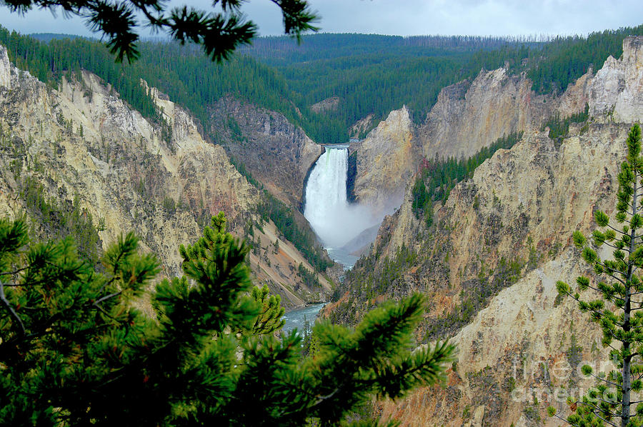 Peekaboo view of Yellowstone river and the Yellowstone waterfall winding down the Yellowstone canyon Photograph by Gunther Allen