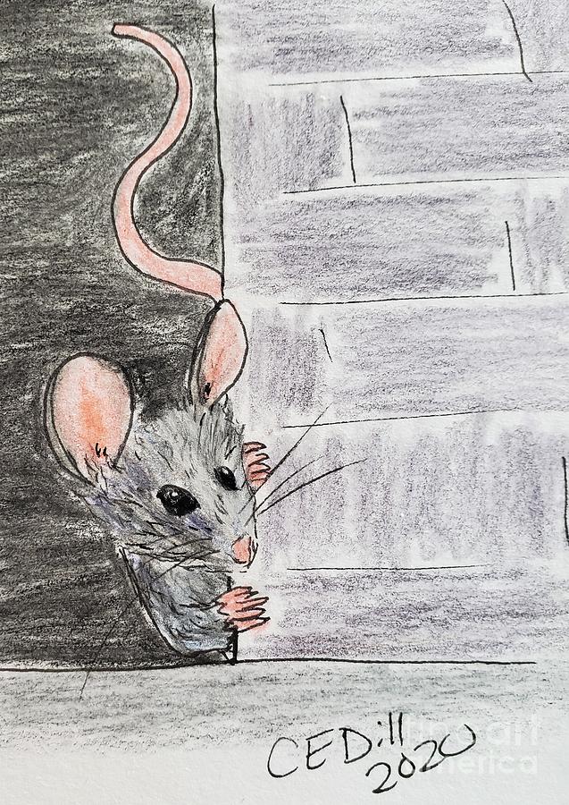 Peeking Mouse Painting by C E Dill