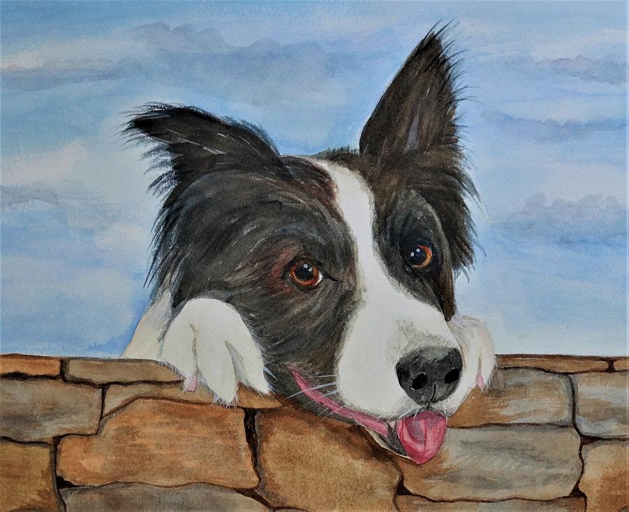 Border Collie Painting - Peeking Over the Wall by Judy Thompson Border Collie Painting - Peeking Over the Wall by Judy Thompson